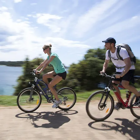 Horizont 2* بولا