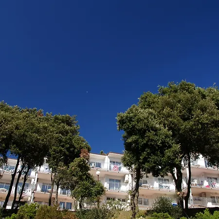 Horizont 2* Pola